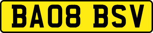 BA08BSV