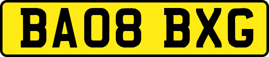 BA08BXG