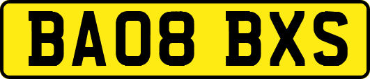 BA08BXS