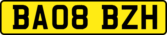 BA08BZH