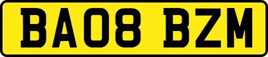BA08BZM
