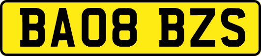 BA08BZS