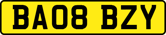 BA08BZY