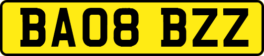 BA08BZZ