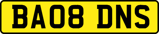 BA08DNS