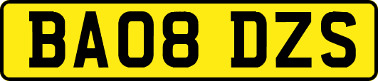 BA08DZS
