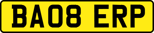 BA08ERP