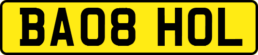 BA08HOL