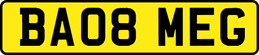 BA08MEG
