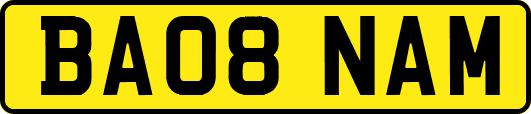 BA08NAM