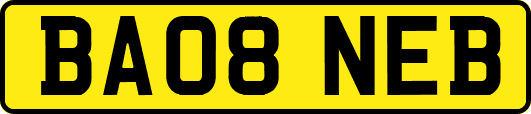 BA08NEB