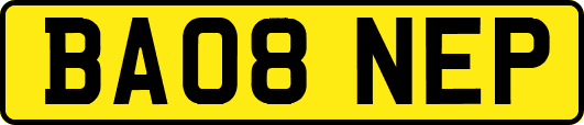 BA08NEP