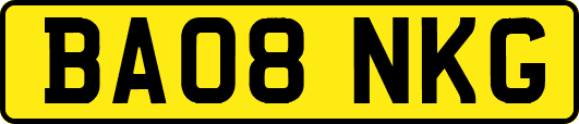 BA08NKG