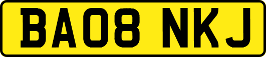 BA08NKJ