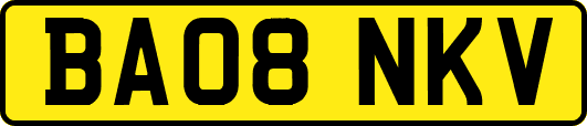 BA08NKV