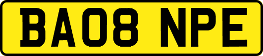 BA08NPE