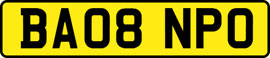 BA08NPO