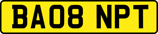 BA08NPT