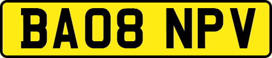 BA08NPV