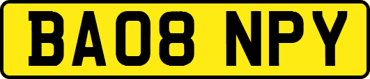 BA08NPY
