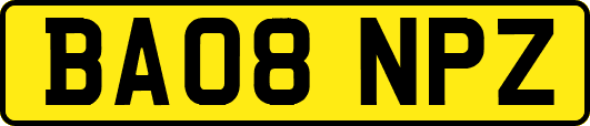 BA08NPZ