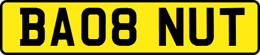 BA08NUT