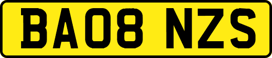 BA08NZS