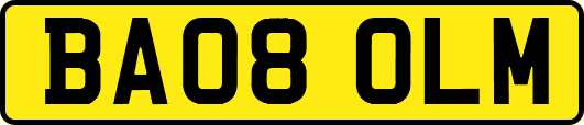 BA08OLM