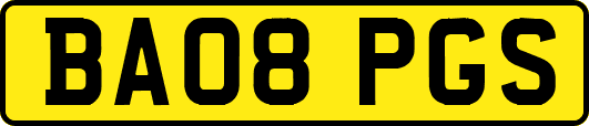 BA08PGS