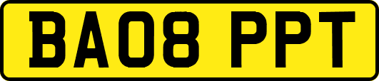 BA08PPT