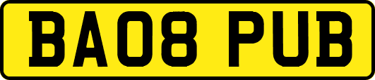 BA08PUB