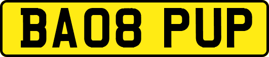 BA08PUP