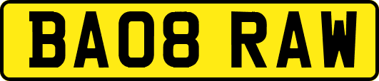 BA08RAW