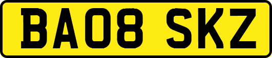 BA08SKZ