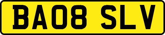 BA08SLV