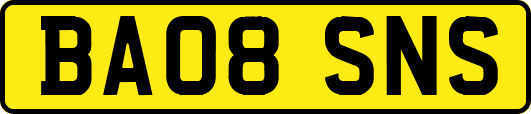 BA08SNS
