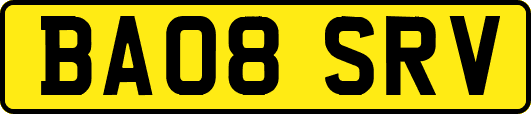 BA08SRV