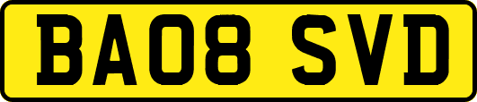 BA08SVD
