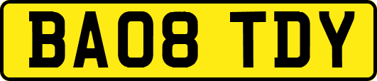 BA08TDY