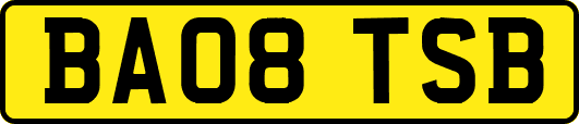 BA08TSB