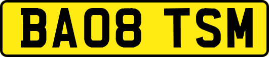 BA08TSM