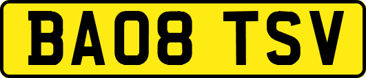 BA08TSV