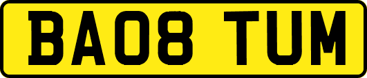 BA08TUM