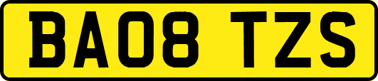 BA08TZS