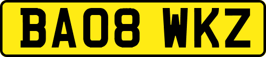 BA08WKZ