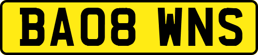 BA08WNS