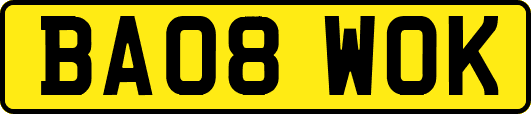 BA08WOK