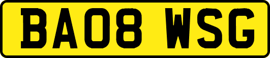 BA08WSG