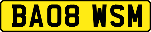 BA08WSM