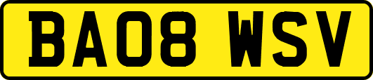 BA08WSV